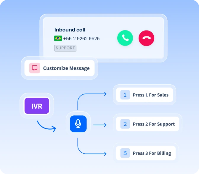 Interactive Features